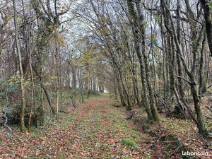Forêt à très bon potentiel sylvicole et cynégétique