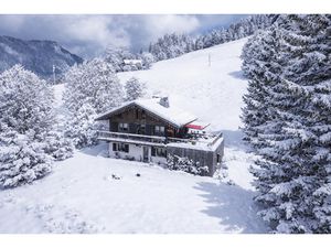 CHALEUREUX CHALET 4 CHAMBRES - SKI AUX PIEDS