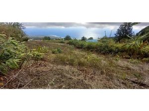 À vendre : Terrain La Chaloupe Saint-Leu – Vue panoramique s