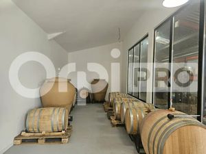 LOCAL D'ACTIVITE A LOUER