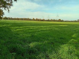 EXPLOITATION AGRICOLE - TERRAIN - VALLONS DE L'ERDRE