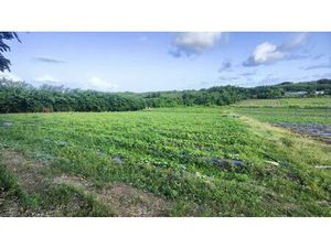 Terrain constructible de 2 000 m² au Vauclin (97280)