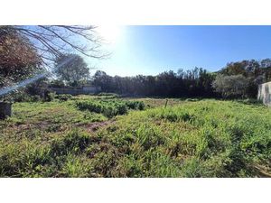 TERRAIN VIABILISÉ - 628M2 - LIGNAN SUR ORB