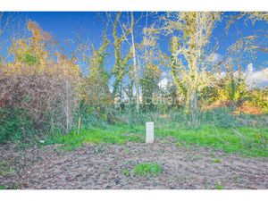 Terrain Gaillac 556 m²