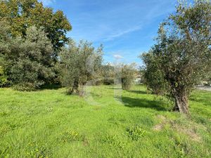 Achat Terrain 1 929m² NYONS 26110