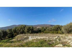 Terrain à vendre à Opio : 1 250 000€ | 2528m²