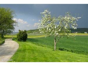 Terrain 912 m² Lire