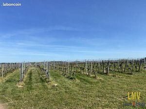 Terrain 60439 m² Lussac