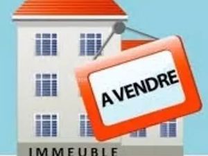 Immeuble Saint-Dié-des-Vosges à vendre