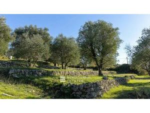 Terrain de 2570 m2 en vente - Opio  Provence-Alpes-Côte d'Azur