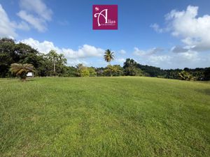 Achat Terrain 1 307m² PETIT BOURG 97170