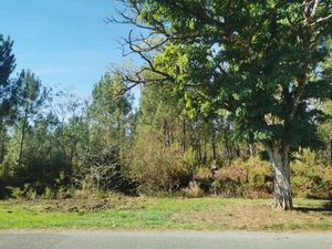 Terrain à bâtir à Castres-Gironde (33640)