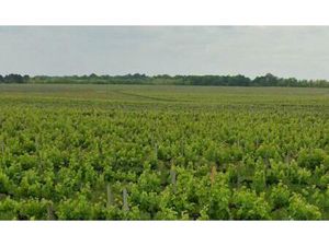 Terrain à bâtir à Portets (33640)