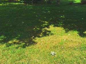 Terrain à bâtir à Mios (33380)