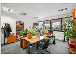 Location Local Professionnel 543m²