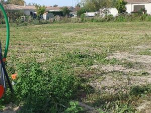 Vente terrain 595 m² Cubnezais (33620)