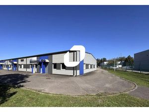 Location Local d'activités Geispolsheim 67118