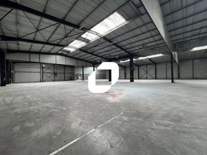 Location Local d'activités Geispolsheim 67118