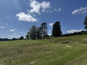 Terrain agricole à vendre à Rue Trente Chevaux (après le n°8) Neupré (VBD65815)