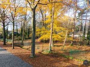 Terrain à vendre à Sint Jobsesteenweg 97 Brasschaat (RBU90738)