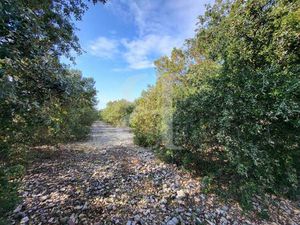 Terres agricoles au pied du Mont Ventoux