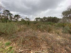 Vente Terrain à Riantec (56670) : à vendre / 5123m² Riantec