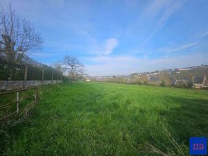A Vendre Terrain constructible d'un hectare Condé En Normandie