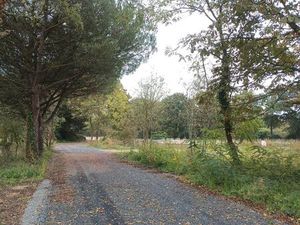 Terrain viabilisé constructible 600m2 la limouziniere 44310