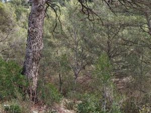 Terrain 14000 m² AURIOL