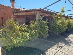 LOCAL COMMERCIAL sur 1728 m2 de terrain clos