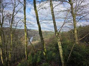 Houffalize-rue du barrage: fond de bois de 2000 m²