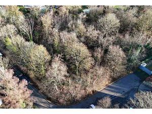 Lot 1 : Terrain à la situation privilégiée