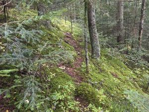 Terrain en friche aoc saint Joseph