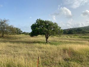 Terrain Hors lotissement - Grand-Bourg