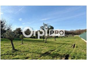 Terrain Aussonne m² T- à vendre  163 000 €