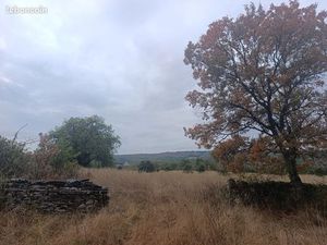 Terrain truffier - 3.83ha - Thedirac