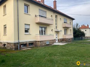 Appartement RDC entièrement rénové!