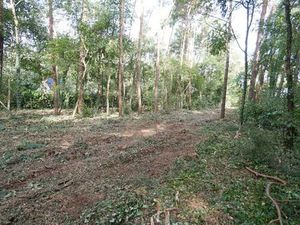 Terrain à vendre à Keerbergen € 365.000 (LITNW) - Winston Schoeters | Zimmo