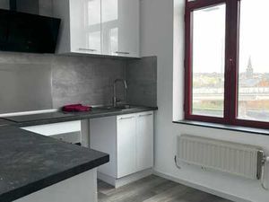 Appart 1 chambre renovee  lumineux.