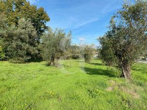 Terrain dans la région de Nyons