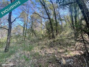 Terrain 14290 m² CHATEAUDOUBLE