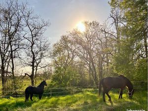 Recherche terrain à louer