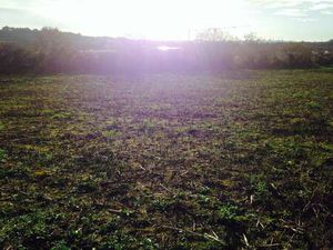 Vente Terrain à Plougonvelin (29217) : à vendre / Plougonvelin