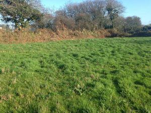 Vente Terrain à Guipavas (29490) : à vendre / Guipavas