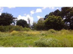 Vente Terrain à Plougonvelin (29217) : à vendre / Plougonvelin