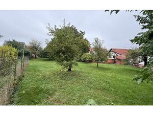 Terrain Mutzenhouse m² T- à vendre  145 000 €