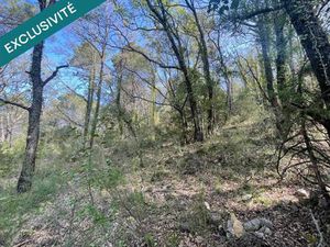 Terrain en zone boisé