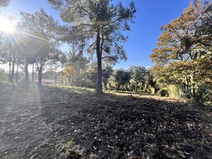 Terrain constructible