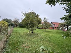 Terrain 1 057 m² Mutzenhouse