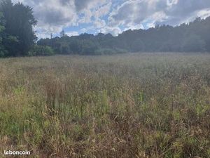 Terrain 600 m² Baron